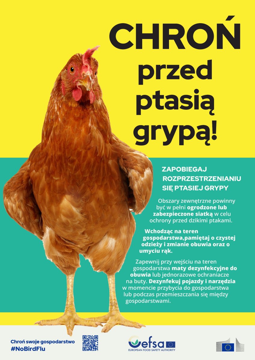 PLAKAT-chron-przed-ptasia-grypa-opis-HPAI